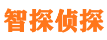 大安区智探私家侦探公司